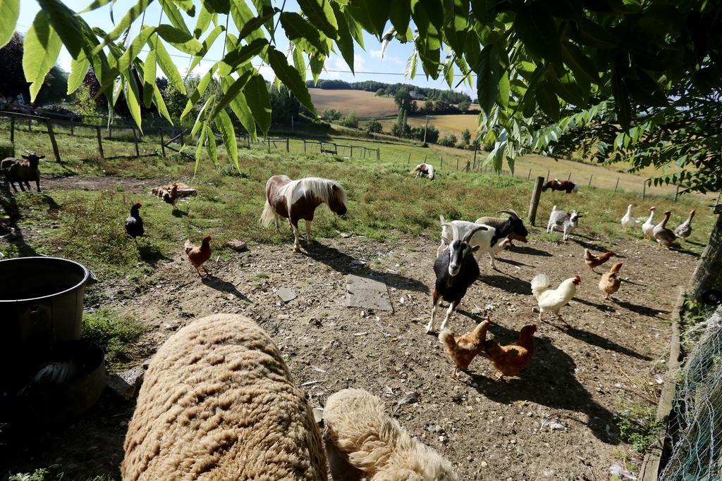 La Ferme Couderc Villa Castelnaud-de-Gratecambe Eksteriør billede