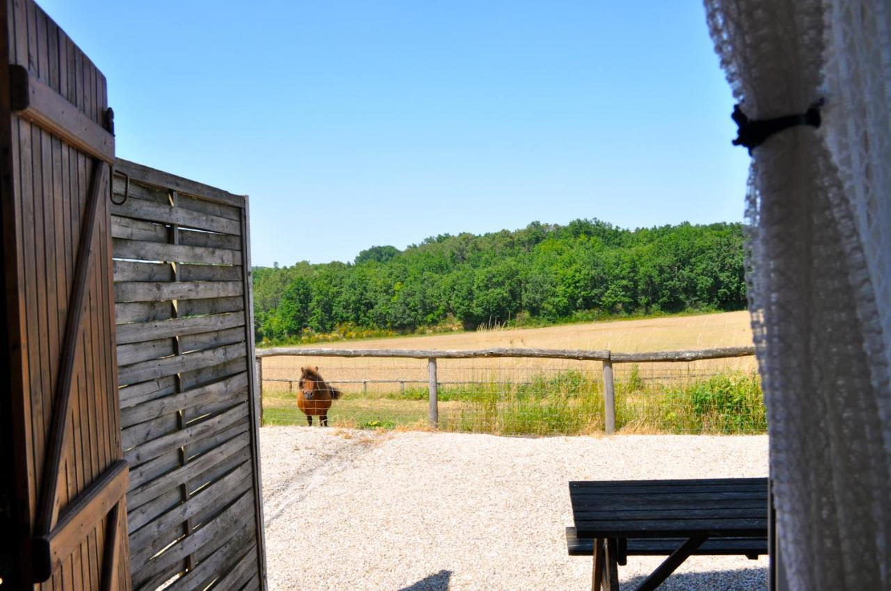 La Ferme Couderc Villa Castelnaud-de-Gratecambe Eksteriør billede